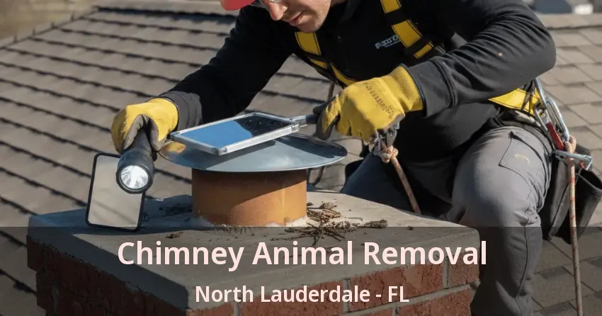 Chimney Animal Removal North Lauderdale - FL