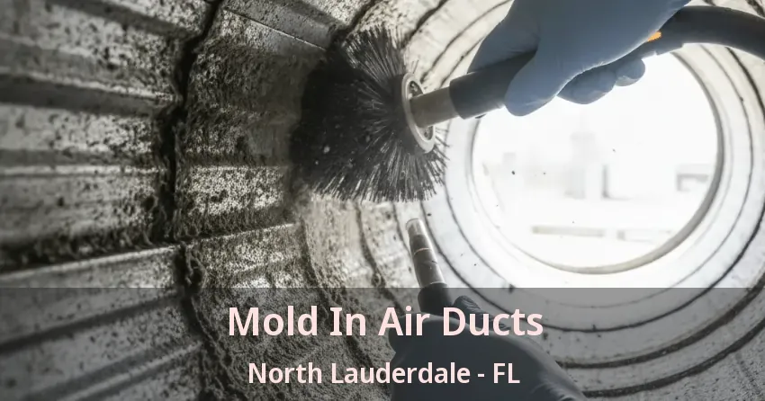 Mold In Air Ducts North Lauderdale - FL