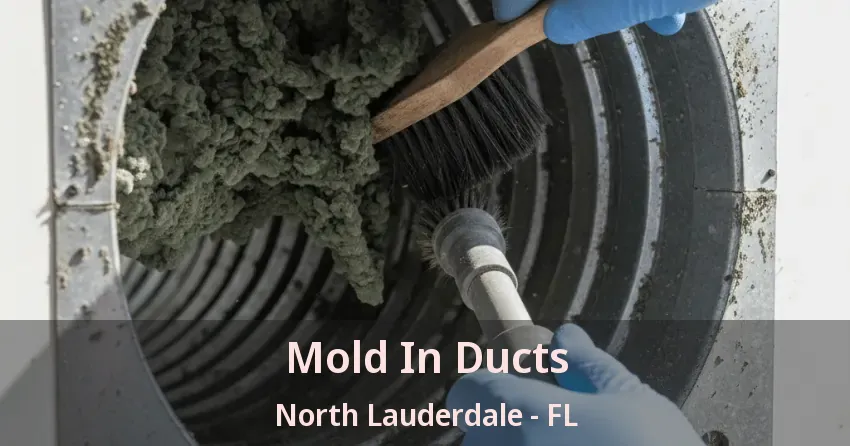 Mold In Ducts North Lauderdale - FL